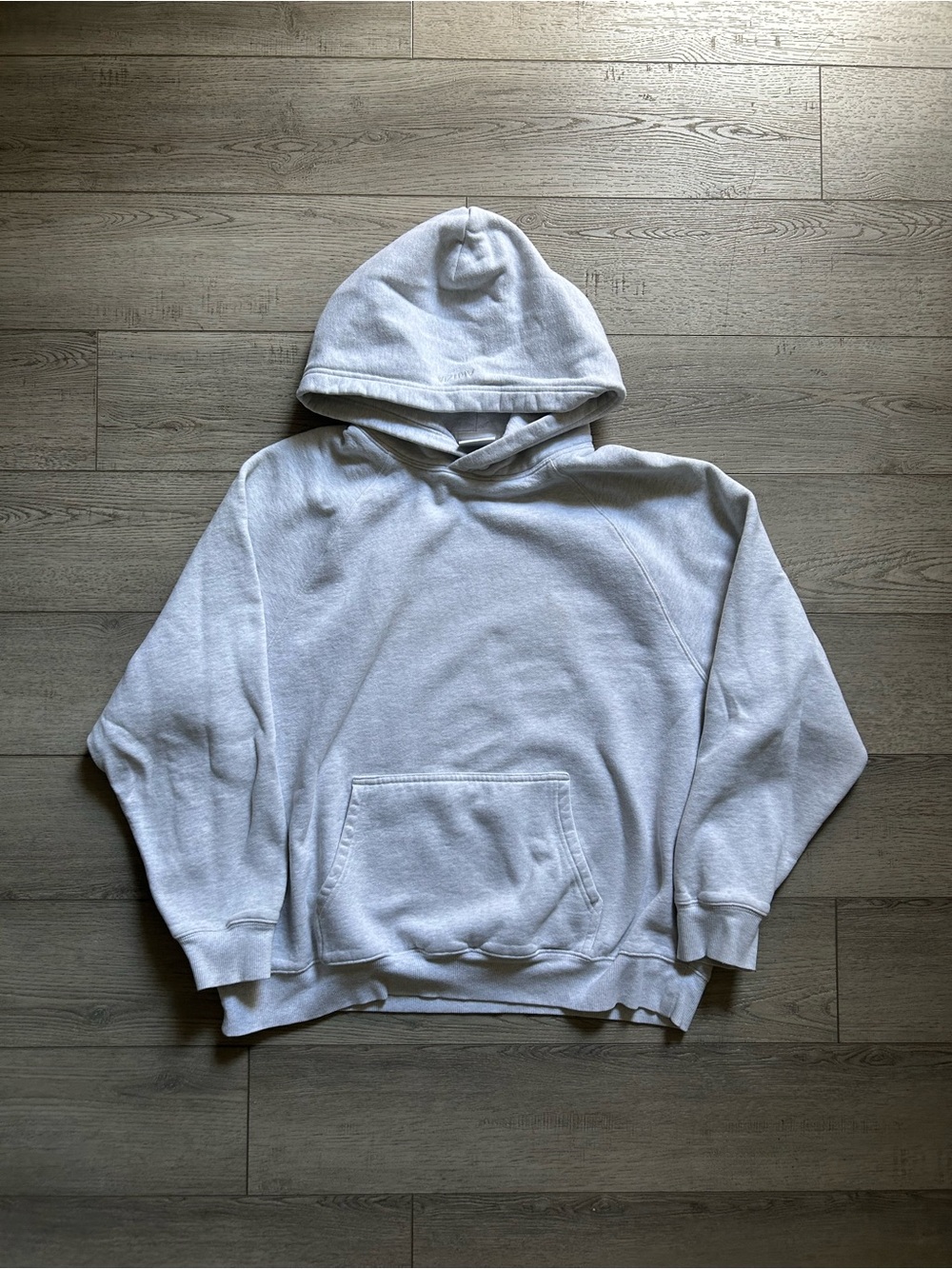 Aritzia Light Grey Hoodie